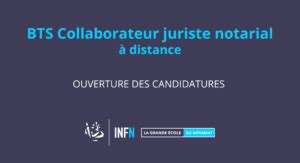 Bts Cjn Distance En Apprentissage Ouverture Des Candidatures