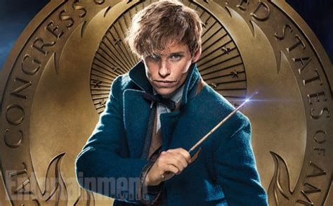 Newton Scamander Harry Potter Amino