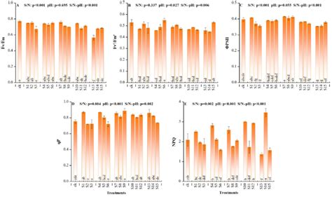 Changes Of The Chlorophyll Fluorescence Characteristics In Q