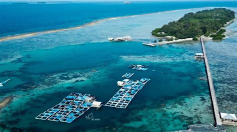 Destinasi Wisata Pulau Tidung Di Kepulauan Seribu Daftar Tour