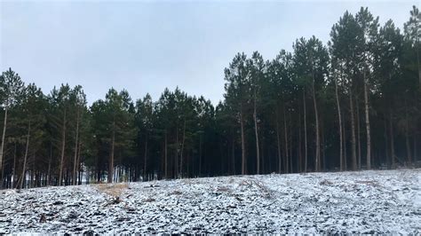 Onda De Frio Afeta Sul Do Brasil Nevou Em Mais De Cidades E