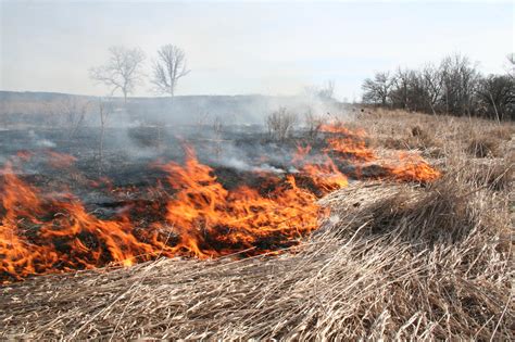 Prescribed Burns Spring Creek Prairie Audubon Center