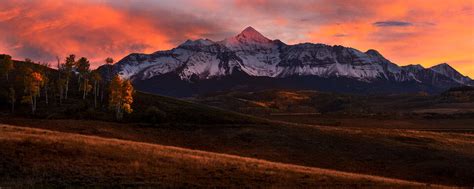 Mountain Trees Landscape Photography