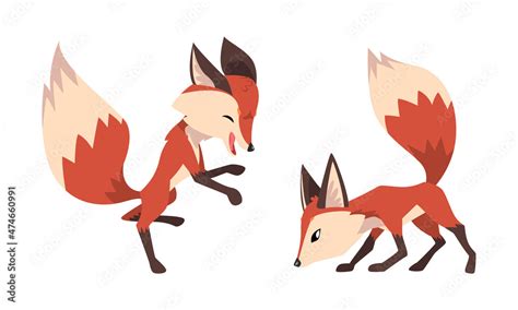 Cute Fox Character with Bushy Brush Tail and Triangular Ears Vector Set Stock Vector | Adobe Stock