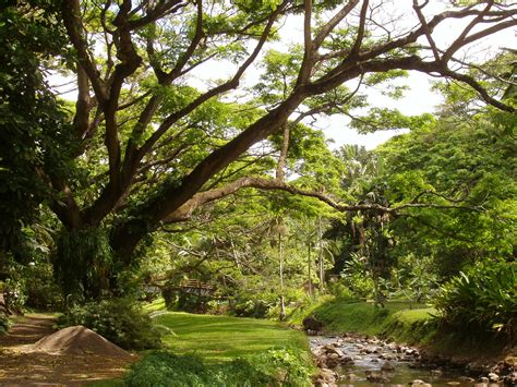 File:McBryde Garden, Kauai, Hawaii - stream view.JPG - Wikipedia, the free encyclopedia