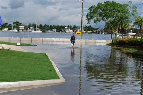 Tidal Flood Mitigation and Shoreline Protection - Cummins Cederberg