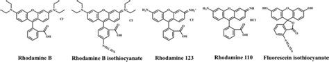 Structure Of Rb And Some Analogues Download Scientific Diagram