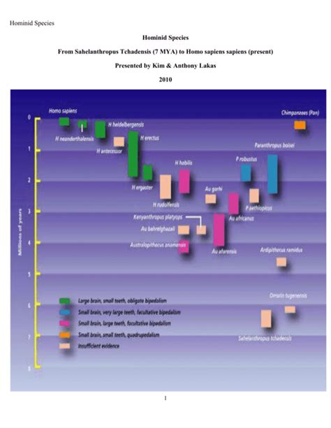 Hominid Species lecture notes