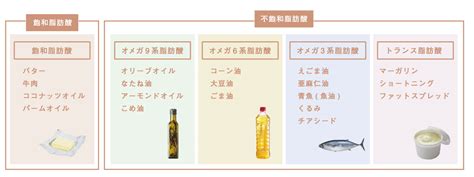 「身体にいい油とは？」健康によい油を選択するための不飽和脂肪酸のきほんと食材を解説！ Nutories 栄養のすべてを伝える