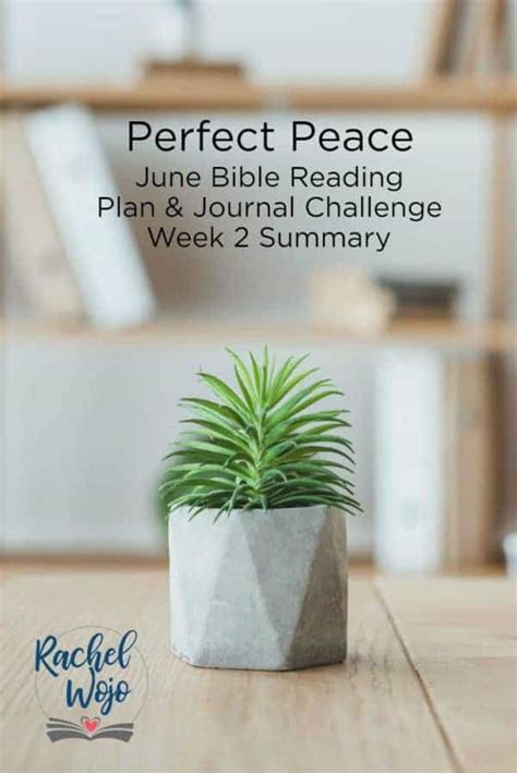 Perfect Peace June Bible Reading Challenge Week Summary Rachel Wojo