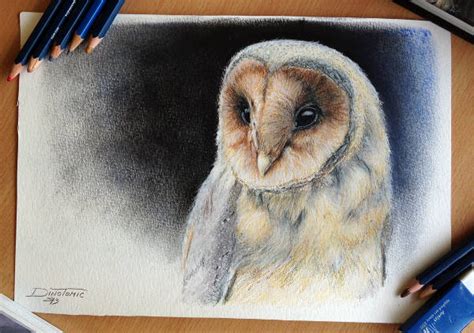 FREE 8+ Owl Drawings in AI