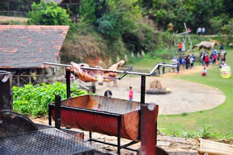 Grilling Whole Pig On Hot Charcoal In Village In Vietnam Stock Photo