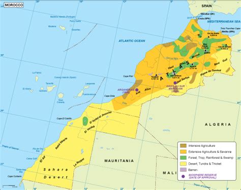 Morocco vegetation map. EPS Illustrator Map | Vector World Maps