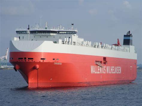 tonsberg car carrier medium