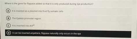 Solved Where is the gene for flippase added so that it is | Chegg.com