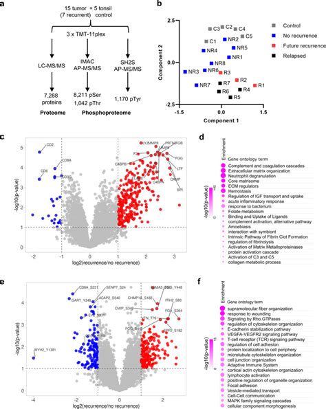 The Proteome And Phosphoproteome Are Distinct Between Non Recurrent And