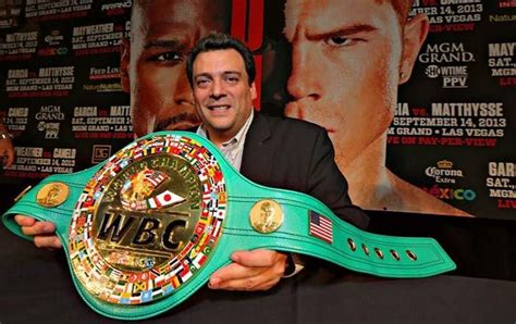 El Consejo Mundial De Boxeo Se Plantea Crear Un Nueva Divisi N Aebox