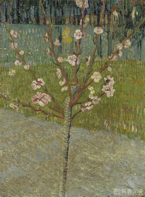 文森特威廉梵高 Vincent Willem van Gogh Almond Tree in Blossom 017 油画作品 第壹印像