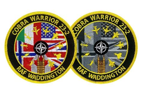 Cobra Warrior Patch Set Patches Squadron Prints