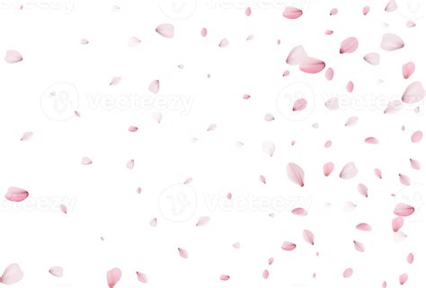 Flying Flower Petals 11236103 Png