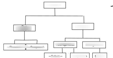 Classification Of Matter Diagram Quizlet