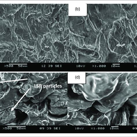 Sem Micrograph Of Tensile Fracture Surface Of Pue Lsr Gnps With