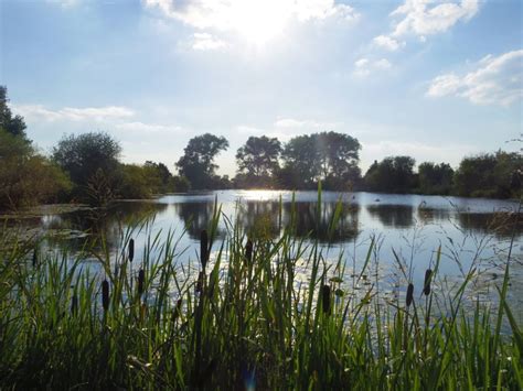 Levenshulmes Secret Lake Manchester A Not So Secret Secret