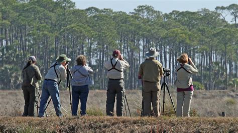 Wakulla County Birding Guide | Visit Wakulla