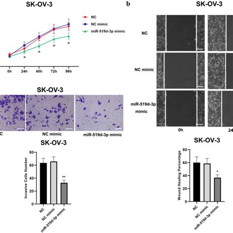 Mir 519d 3p Suppresses The Proliferation Migration And Invasion Of