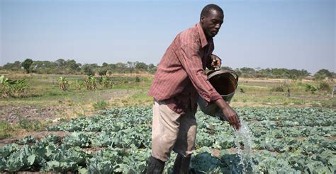 Zimbabwe And IFAD Join Forces To Transform Small Scale Agriculture