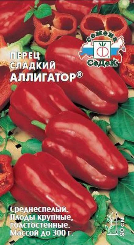 Перец «Аллигатор» — описание, фото и характеристики сорта