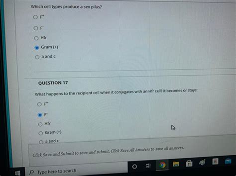 Solved Which Cell Types Produce A Sex Pilus O Ft Of O Hfr Chegg