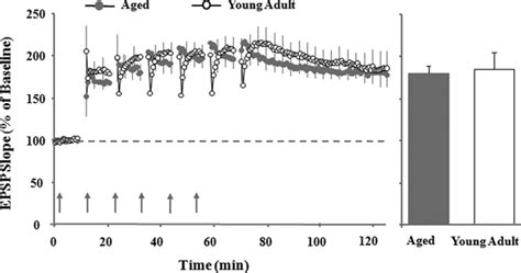 Multiple Episodes Of Theta Burst Stimulation Tbs Induced Maximal Ltp