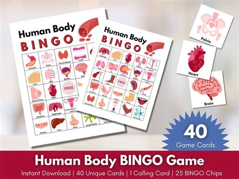 The Human Body Bingo Game Is On Display