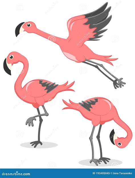 Set Of Pink Flamingos In Different Poses Flamingo Flies Stands And