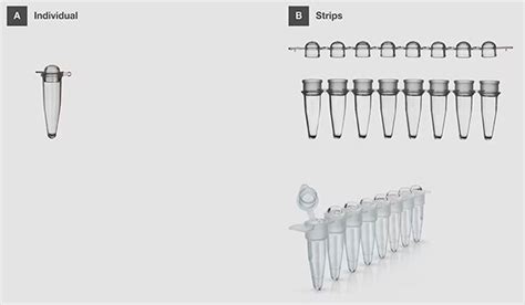 Pcr Qpcr Plates Tubes And Seals Education Thermo Fisher Scientific Us