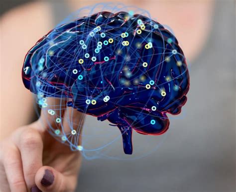 Impacto De La Neurociencia En Las Ventas Y El Marketing