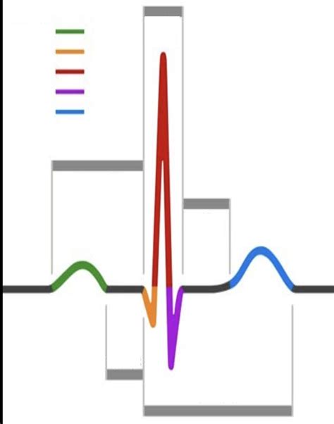 Ecg Ekg Labeled Diagram Quizlet