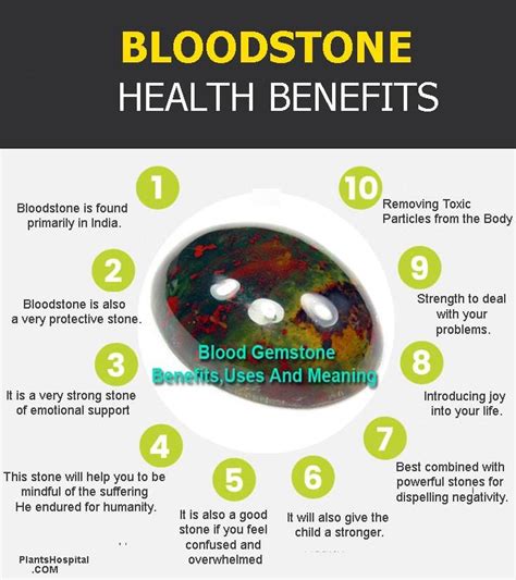 Bloodstone Health Benefits Meaning And Uses Heliotrope