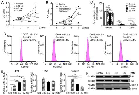 Cudc Suppresses Proliferation And Induces G M Cell Cycle Arrest In