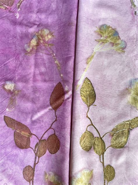 How To Dye Fabric With Botanicals Natural Dyes Flowers Flora Obscura