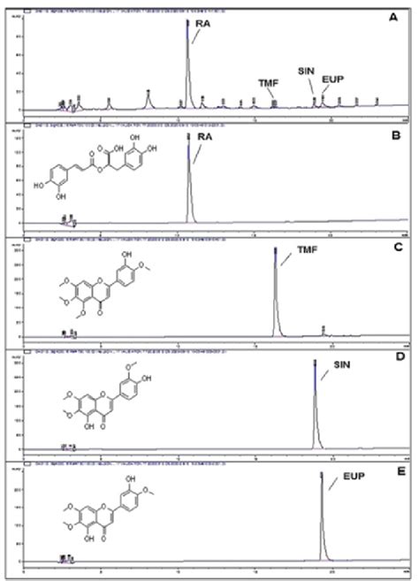 A UV Spectrum Of Detected Rosmarinic Acid In The Sample B