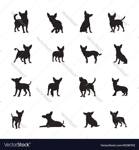 Chihuahua dog silhouetteschihuahua Royalty Free Vector Image