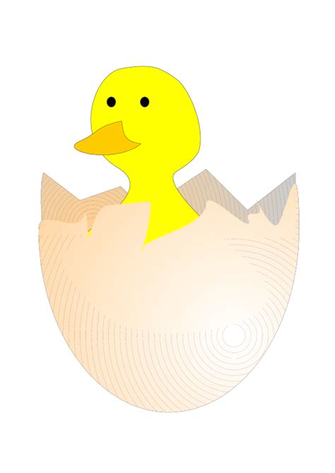 Baby Chick Png Svg Clip Art For Web Download Clip Art Png Icon Arts