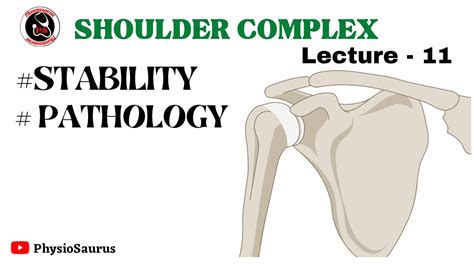 Shoulder Complex Stability Pathologies YouTube