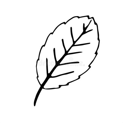 Aspen Leaf Icon, Outline Style. Stock Illustration - Illustration of ...