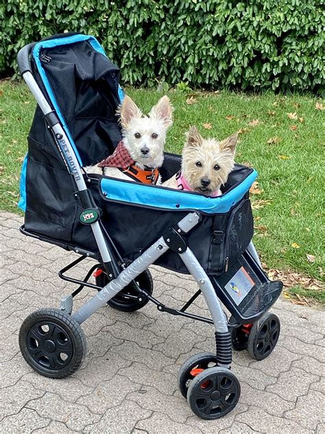 The 15 Best Dog Wagons & Strollers of 2022