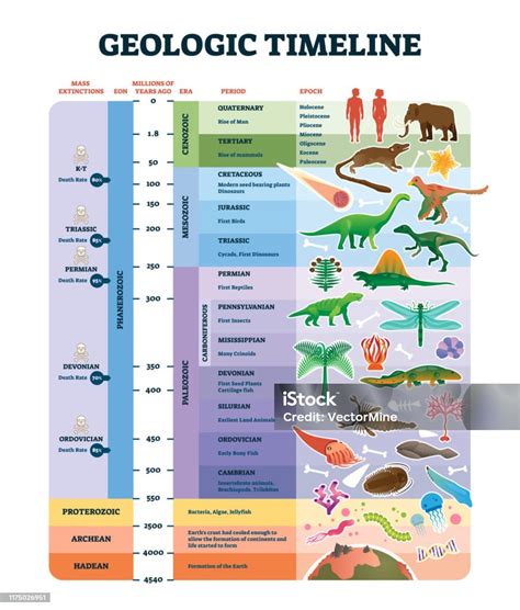 Ilustrasi Vektor Skala Garis Waktu Geologi Berlabel Skema Sejarah Bumi ...