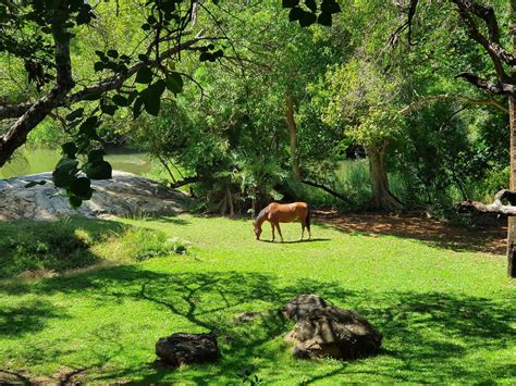 Blyde River Canyon Accommodation | Secure Your Hotel, Self-Catering, or Bed and Breakfast ...