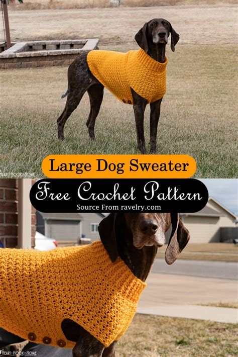 15 Crochet Dog Sweater Patterns For Beginners - DIYS